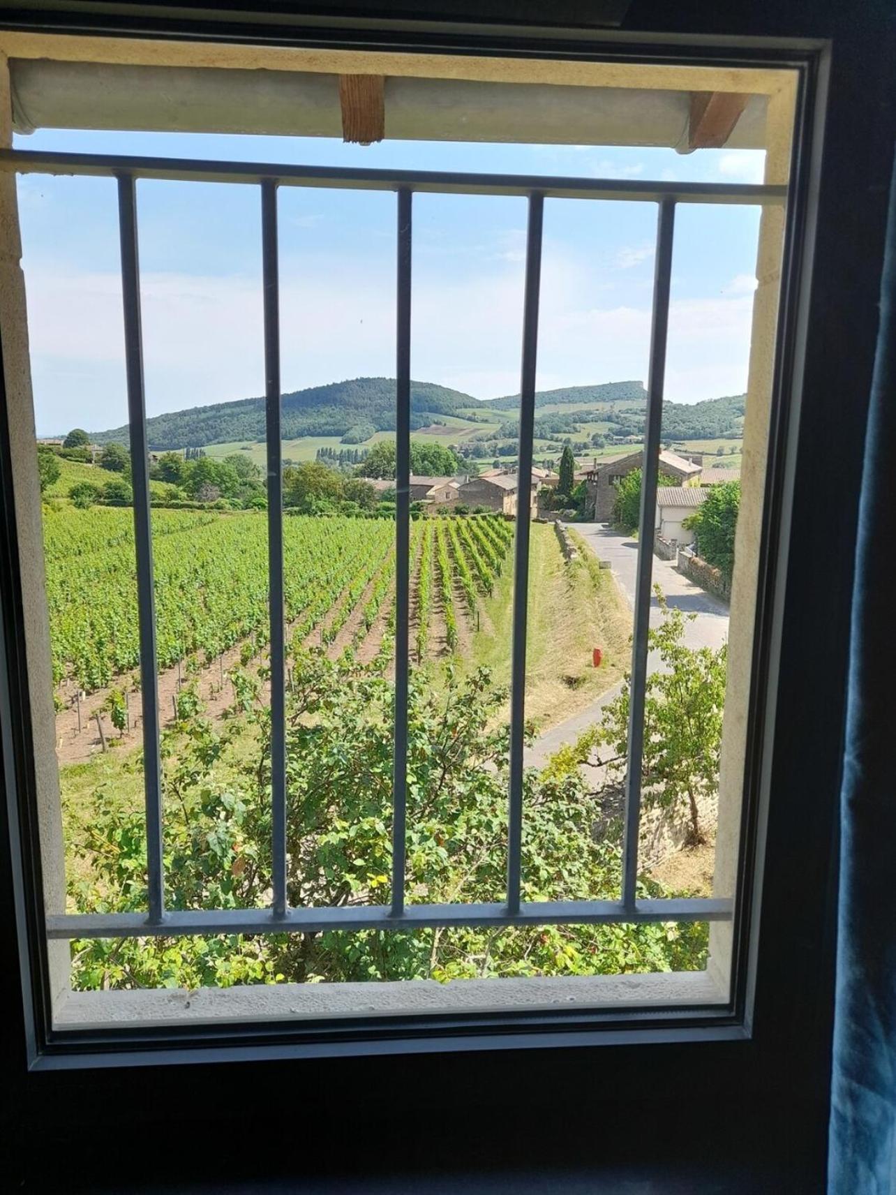At The End Of The World -Bussires Burgundy Villa Bussieres  Buitenkant foto