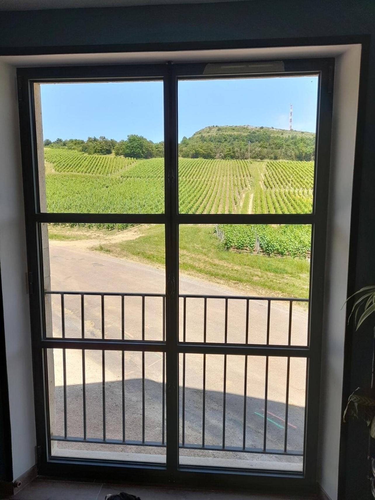 At The End Of The World -Bussires Burgundy Villa Bussieres  Buitenkant foto